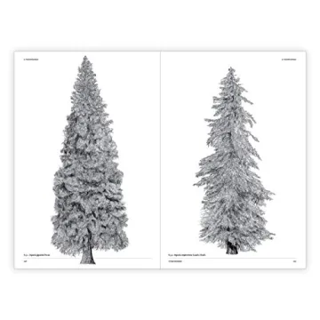 The Architecture of Trees: Stunning Illustrations & Insights