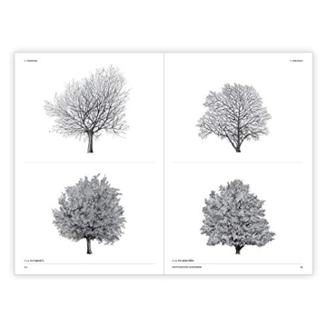The Architecture of Trees: Stunning Illustrations & Insights