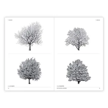 The Architecture of Trees: Stunning Illustrations & Insights