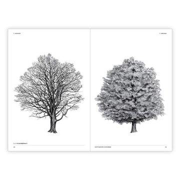 The Architecture of Trees: Stunning Illustrations & Insights