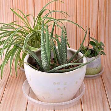 GRESPRI Heavy-Duty Plant Saucer 10 Inches, 6 Packs Clear Pot Saucers for Plants, Plastic Plant Water Trays for Indoor Plants.(8.7 Inch Base)