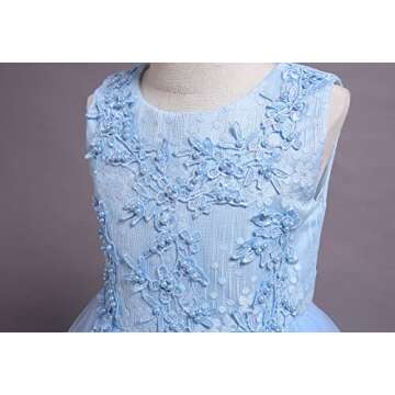 Elegant Flower Girls Lace Party Dress for Kids