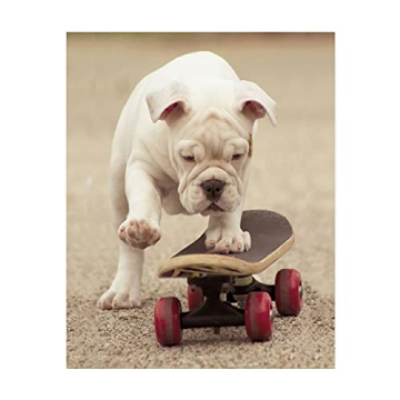 Cute Bulldog Puppy Riding A Skateboard Wall Art Print - 8x10" Funny Dog Photo Print for Home
