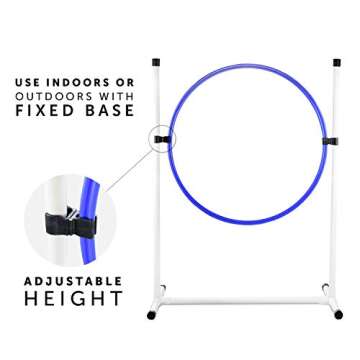 Best Dog Agility Set for Training Adventures