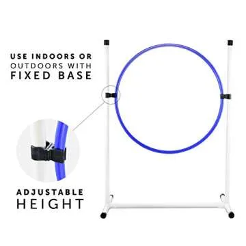 Best Dog Agility Set for Training Adventures