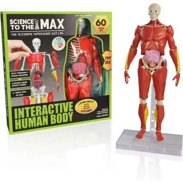 Kids Interactive Anatomy Kit - Fun and Educational