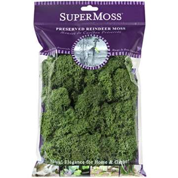 SuperMoss (23080) Reindeer Moss Preserved, Basil, 2 Ounces