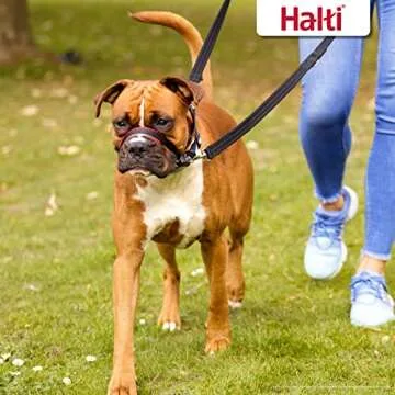 HALTI Optifit Headcollar - To Stop Your Dog Pulling on the Leash. Adjustable, Reflective and Lightweight, with Padded Nose Band. Dog Training Anti-Pull Collar for Medium Dogs (Size Medium)