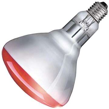 Buy Philips R40 Heat Lamp Flood Light Bulb 250-Watt