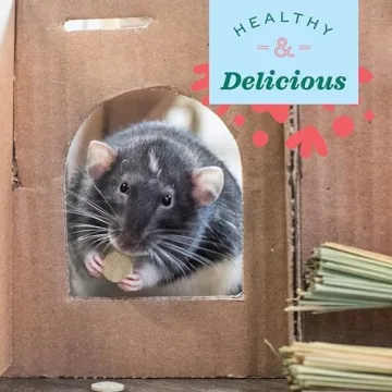 Oxbow Natural Papaya Digestive Support for Small Animals