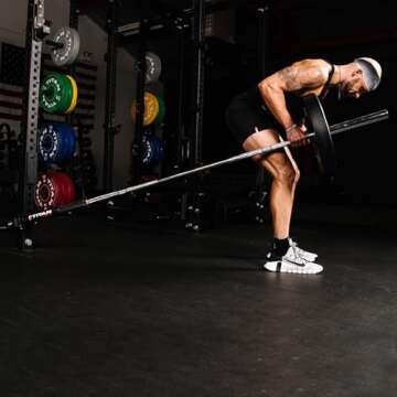 Titan Fitness Rack Mounted Landmine Attachment, Compatible with T2, T3, X3, Titan Series Power Racks, Includes Hole Mount Adapters, Fit 2" Olympic Bars