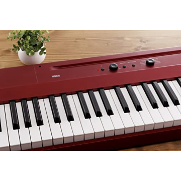 Korg Liano 88 Portable Digital Piano for Musicians