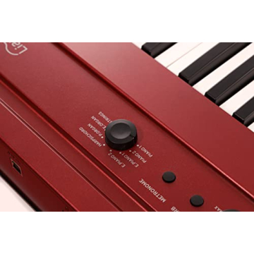 Korg Liano 88 Portable Digital Piano for Musicians