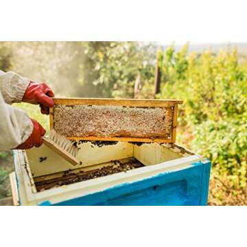 Homestead Flavored Honey Sticks (50 Pack) - 5 Flavors Include Clover, Cinnamon, Orange, Lemon, Ginger - Pure American Honey Sticks with Essential Oils for Taste - Honey Sticks for Tea - Tea Sticks