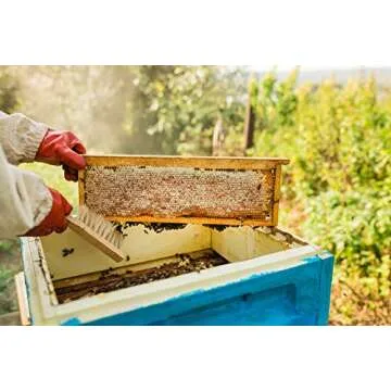 Homestead Flavored Honey Sticks (50 Pack) - 5 Flavors Include Clover, Cinnamon, Orange, Lemon, Ginger - Pure American Honey Sticks with Essential Oils for Taste - Honey Sticks for Tea - Tea Sticks