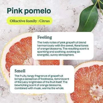 ATTITUDE Liquid Laundry Detergent, EWG Verified, Vegan