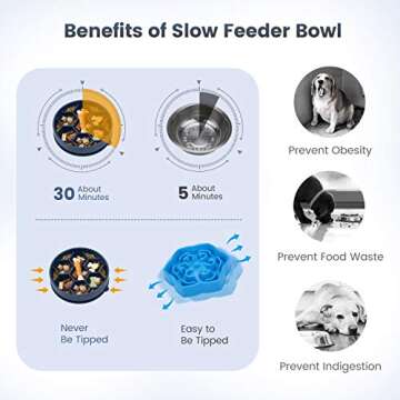 IOKHEIRA 2 PCS Dog Slow Feeder Bowl, Newest Non Slip Slow Eating Dog Bowl, Anti Gulping Healthy Eating, Safety Durable Food Bowl for Medium and Large Dogs (Blue)