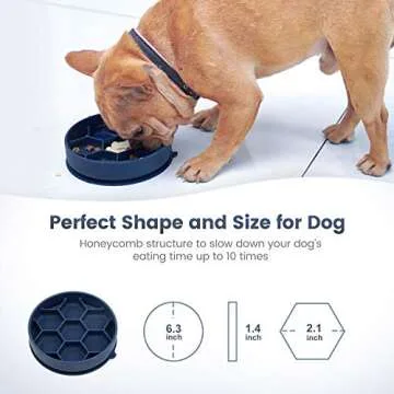 IOKHEIRA 2 PCS Dog Slow Feeder Bowl, Newest Non Slip Slow Eating Dog Bowl, Anti Gulping Healthy Eating, Safety Durable Food Bowl for Medium and Large Dogs (Blue)