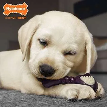 Nylabone Double Action Bone Puppy Chew Toy, Rubber Teething Toys for Puppies, Bacon Flavor, Small - ...