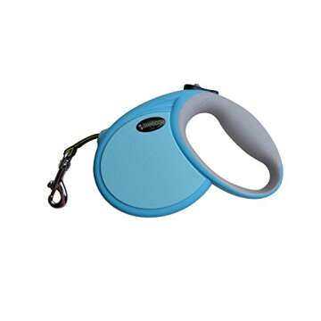 GreEco Retractable Dog Leash, Belt Leash, Ergonomic Handle, 13 Ft for Small to Middle Dog, Lucifer Yellow Leash, Innovative Reflective Silver Perimeter Leash, Blue