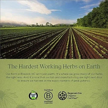 GaiaKids Echinacea Goldenseal Drops for Immune Support