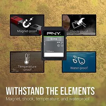 PNY 64GB Elite Class 10 U1 V10 SDXC Flash Memory Card - 100MB/s Read, Class 10, U1, V10, Full HD, UHS-I, Full Size SD (P-SD64GX3U1100EL-MP) (Pack of 3)