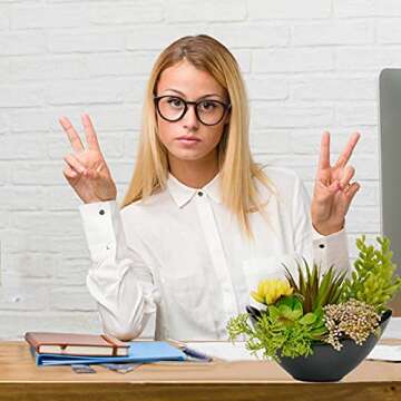 Luxsego Faux Succulent Plants for Home Decor