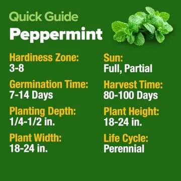 HOME GROWN Peppermint Seeds Pack – 2,370 Non-GMO, Heirloom Mint Seeds for Planting. Grow Peppermint Plants in Your Herb Garden Indoors or Outdoors (Mentha × piperita)