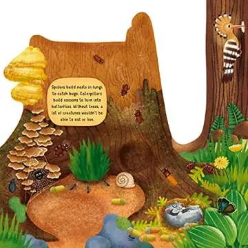 Discovering the Hidden Woodland World Board Book for Kids