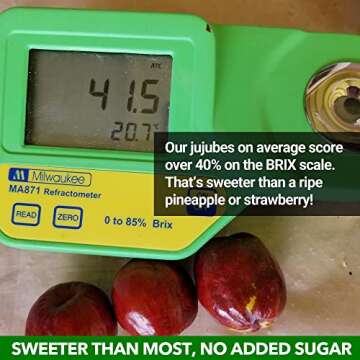 JUJUME Organic California Jujubes for Healthy Snacking