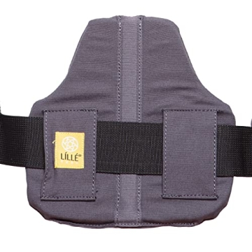 LÍLLÉbaby CarryOn Ergonomic Toddler Carrier for Family Fun
