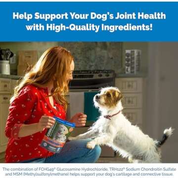 Cosequin MSM Joint Health Supplement for Dogs - 180 Chewable Tablets