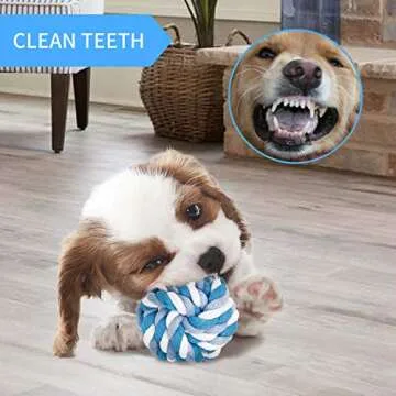 Toozey Puppy Toys, 7 Pack Puppy Teething Chew Toys, Cute Elephant Dog Toys for Small Dogs, Durable Plush Squeaky Puppy Toys Small Dogs, Ropes Puppy Teething Toys, Non-Toxic and Safe