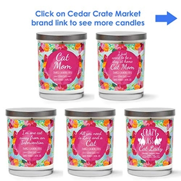 Cute Crazy Cat Lady Candle Gift for Cat Lovers