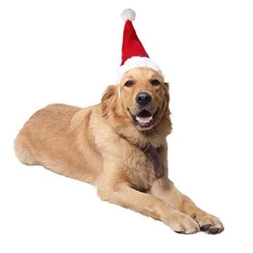 Adjustable 3D Santa Hat for Medium and Large Dogs