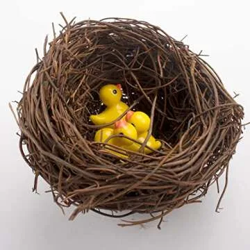 Exasinine 18 Pcs 3'' Mini Artificial Bird Nest for Crafts, Easter, Party, Wedding, Patio Garden, Succulent Planter, Moss Landscape, DIY Terrarium (3 Inches)