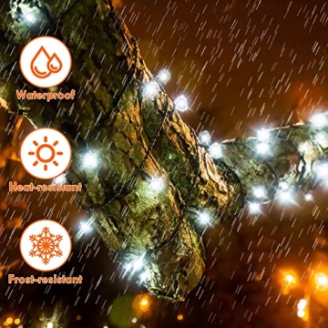 33FT 100 LED Christmas String Lights with Timer
