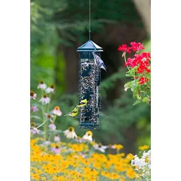 Squirrel Solution200 Squirrel-proof Bird Feeder w/6 Feeding Ports, 3.4-pound Seed Capacity, Free Seed Funnel