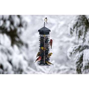 Squirrel Solution200 Squirrel-proof Bird Feeder w/6 Feeding Ports, 3.4-pound Seed Capacity, Free Seed Funnel