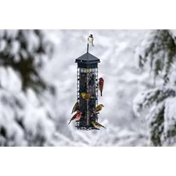Squirrel Solution200 Squirrel-proof Bird Feeder w/6 Feeding Ports, 3.4-pound Seed Capacity, Free Seed Funnel