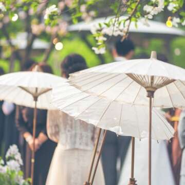 Koyal Wholesale 32-Inch White Paper Parasol, 4-Pack Oriental Umbrella for Wedding, Party Favors, Sum...