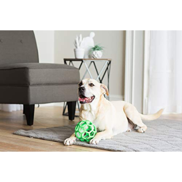 JW Pet Hol-ee Roller Dog Toy Puzzle Ball for Dogs