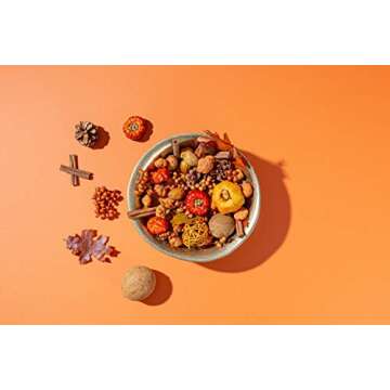 ANDALUCA Autumn Pumpkin Patch Scented Potpourri | Large 20 oz. Bag with Fragrance Vial | Made in Cal...