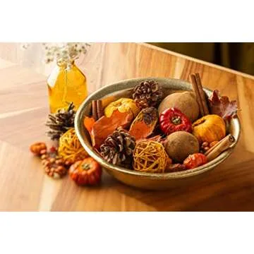 ANDALUCA Autumn Pumpkin Patch Potpourri 20 oz Bag