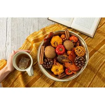 ANDALUCA Autumn Pumpkin Patch Potpourri 20 oz Bag