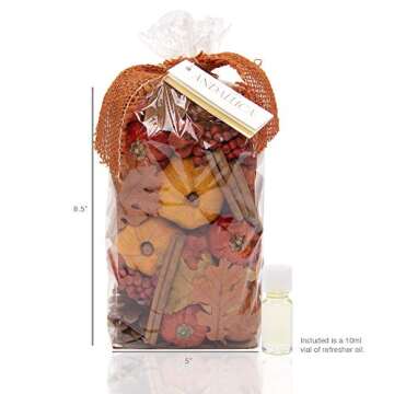 ANDALUCA Autumn Pumpkin Patch Scented Potpourri | Large 20 oz. Bag with Fragrance Vial | Made in California