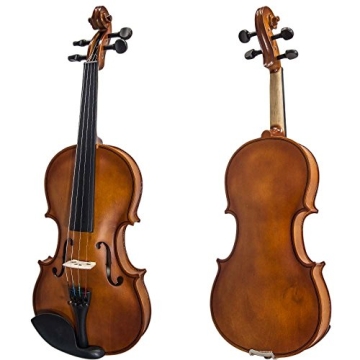 Paititi 4-String Violin Starter Kit for Beginners