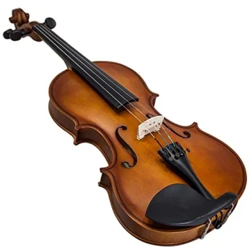 Paititi 4-String Violin Starter Kit for Beginners