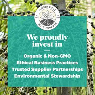 Navitas Organics Acai Powder, 8 oz Bag, 76 Servings — Organic, Non-GMO, Freeze-Dried, Gluten-Free