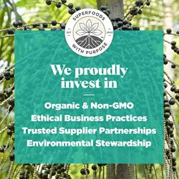 Navitas Organics Acai Powder, 8 oz Bag, 76 Servings — Organic, Non-GMO, Freeze-Dried, Gluten-Free